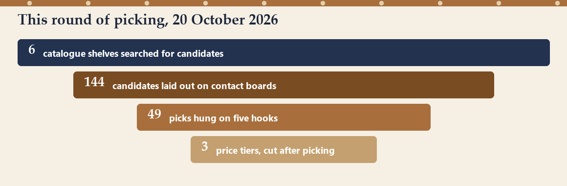 Funnel chart: six shelves pulled, 144 candidates reviewed on contact boards, 49 picks hung on five hooks